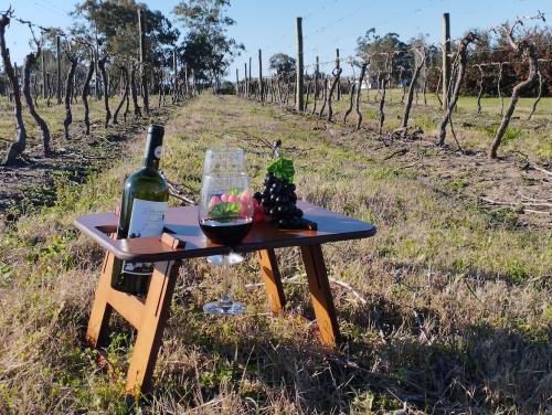 Mesa Holi Table dos copas y frappera